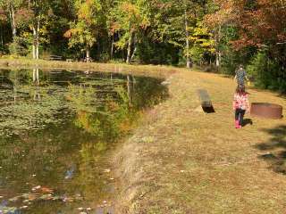 Sohi Campground