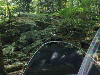 Alander Trail Camground — Mount Washington State Forest