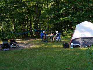 Denning Trailhead Peekamoose Primitive Camping