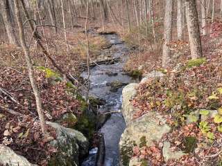 Taconic Hereford Multiple Use Park