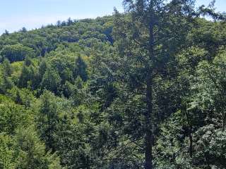 Branch Brook Campground