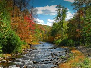 Upper Esopus Creekside Camp