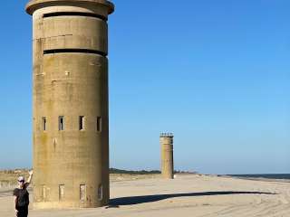 Cape Henlopen State Park