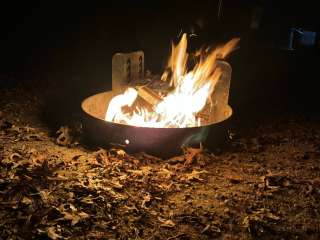 Belleplain State Forest