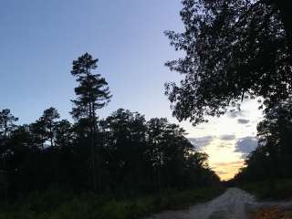 Goshen Pond — Wharton State Forest