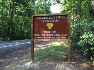 Blackbird State Forest Campground