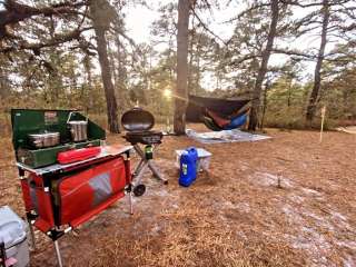 Bodine Field — Wharton State Forest