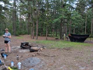 Mullica River — Wharton State Forest