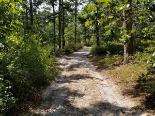 Lower Forge — Wharton State Forest