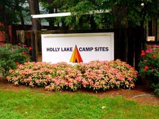 Holly Lake Campsites