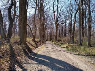 Fair Hill Natural Resources Management Area