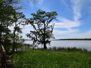 Apalachee - Blakeley State Park