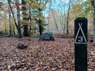 Chompawamsic Backcountry Area — Prince William Forest Park