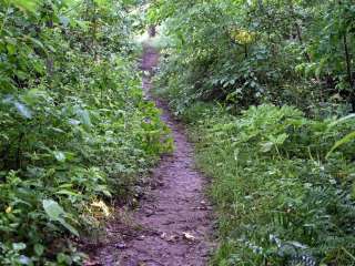 Sassafras Natural Resources Management Area