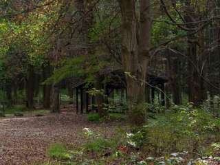 Poplar Grove Youth Group Campground — Catoctin Mountain Park