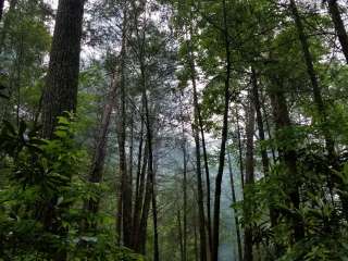 Jack's River Falls Trail/Cohutta Wilderness Backcountry Group Camp