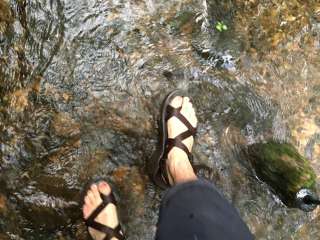 Hickory Creek and Conasauga River Intersection Backcountry Campground