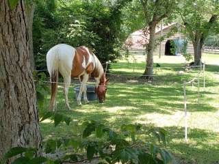 Green Wood Stable Lodge RV Park