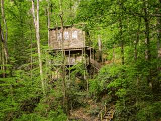 Bear Hug Cabin