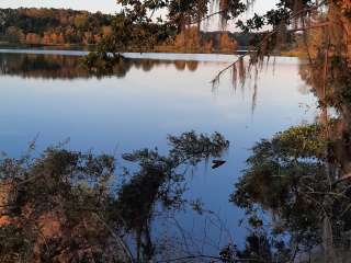 Roland Cooper State Park