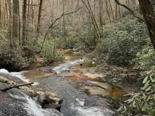 Jones Creek Dispersed Campground