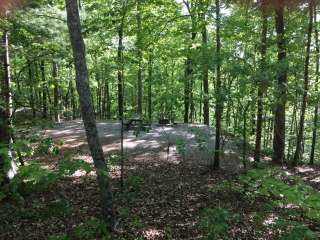 Jocassee Gorges Wildlife Management Area