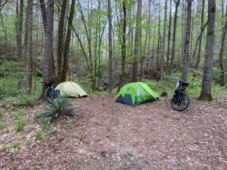 Riley Moore Falls Campsite 