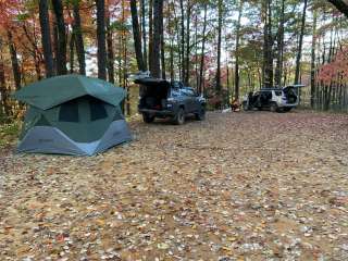 Sumter National Forest Big Bend Campground