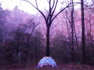 West Fork Campground