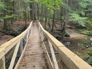 Wildcat Lodge and Campground