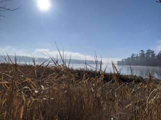 Hester's Ferry Campground