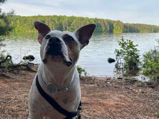 Clark Creek South Campground 