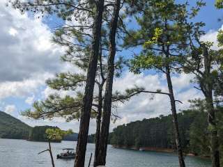 Upper Overlook Shelters (GA)