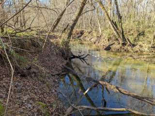 Quail Run at Pate's Creek