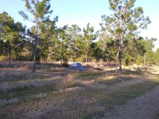 Alabama Coast Campground