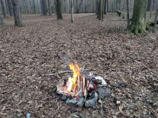 Ocmulgee River Camp