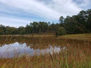 Hillsboro Road Wildlife Area