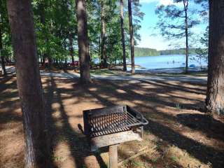 Wildwood Park Columbia County Park