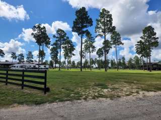 Stable View