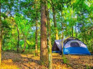 Pecan Orchard Estate-Campground 