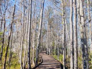 Stephen C. Foster State Park