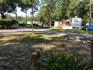 River Park RV Park