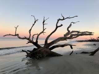 Jekyll Island Campground