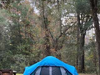 Charlton County Traders Hill Recreation Area and Campground