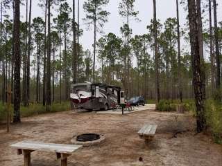 Cary State Forest