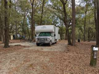 Hall Landing Campground