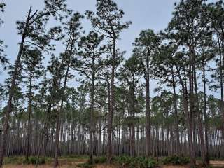 Buckhorn Hunt Camp