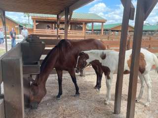 Bradford River Ranch