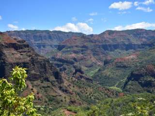 Koaie Primitive - Kokee State Park - Kauai