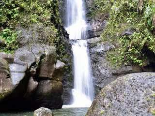 Polipoli Spring State Recreation Area Camping